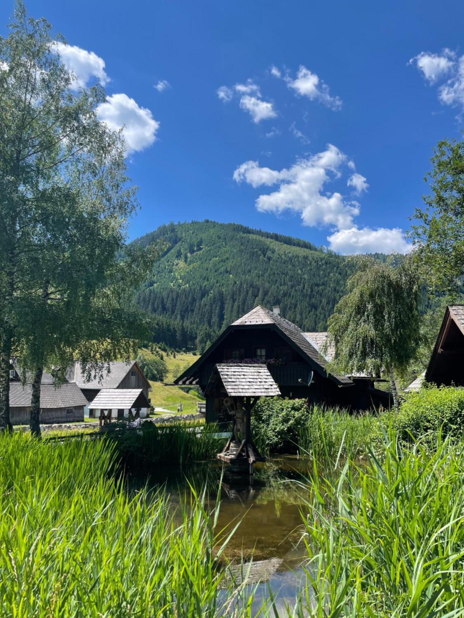 Ferienhaus Bettina Rassis Feriendorf Donnersbachwald Buitenkant foto